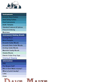 Tablet Screenshot of maizeguitars.com